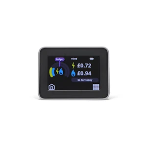 Image of Chameleon In Home Display